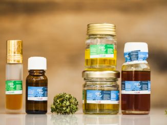 Business Advice 101: How to Get Into CBD Business Opportunities