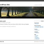 Creating a WordPress site