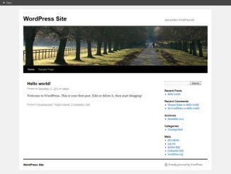 Creating a WordPress site